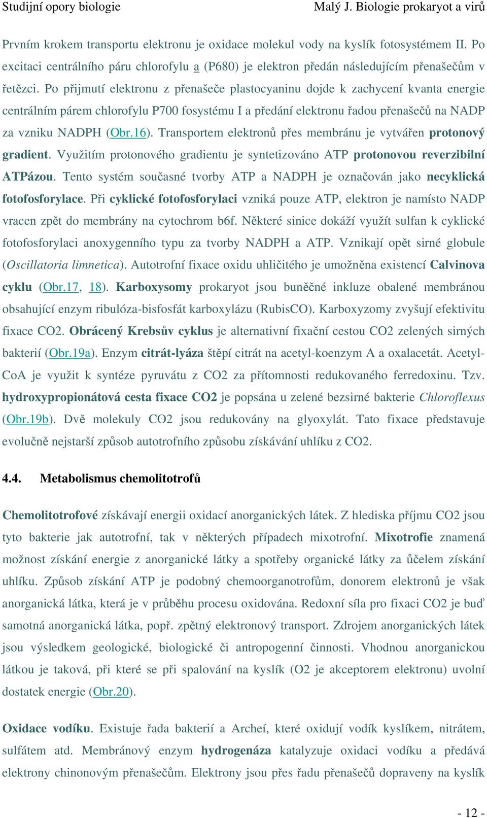 Transportem elektronů přes membránu je vytvářen protonový gradient. Využitím protonového gradientu je syntetizováno ATP protonovou reverzibilní ATPázou.