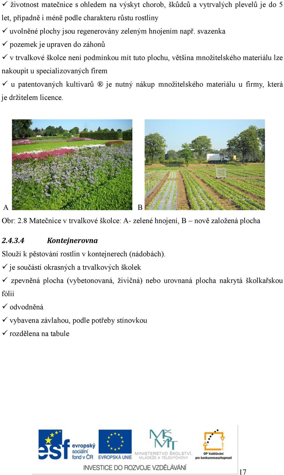 množitelského materiálu u firmy, která je držitelem licence. A B Obr: 2.8 Matečnice v trvalkové školce: A- zelené hnojení, B nově založená plocha 2.4.3.