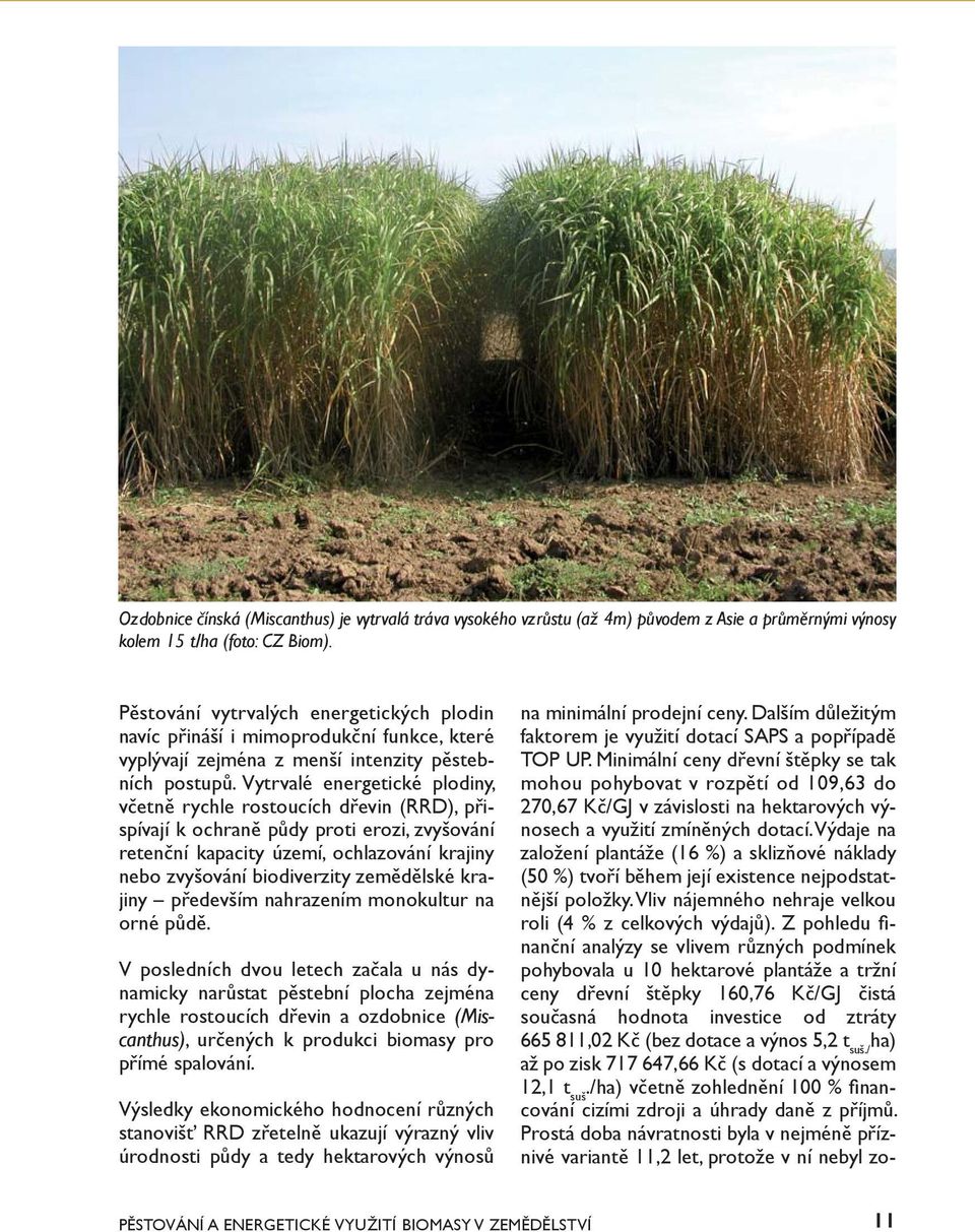Vytrvalé energetické plodiny, včetně rychle rostoucích dřevin (RRD), přispívají k ochraně půdy proti erozi, zvyšování retenční kapacity území, ochlazování krajiny nebo zvyšování biodiverzity