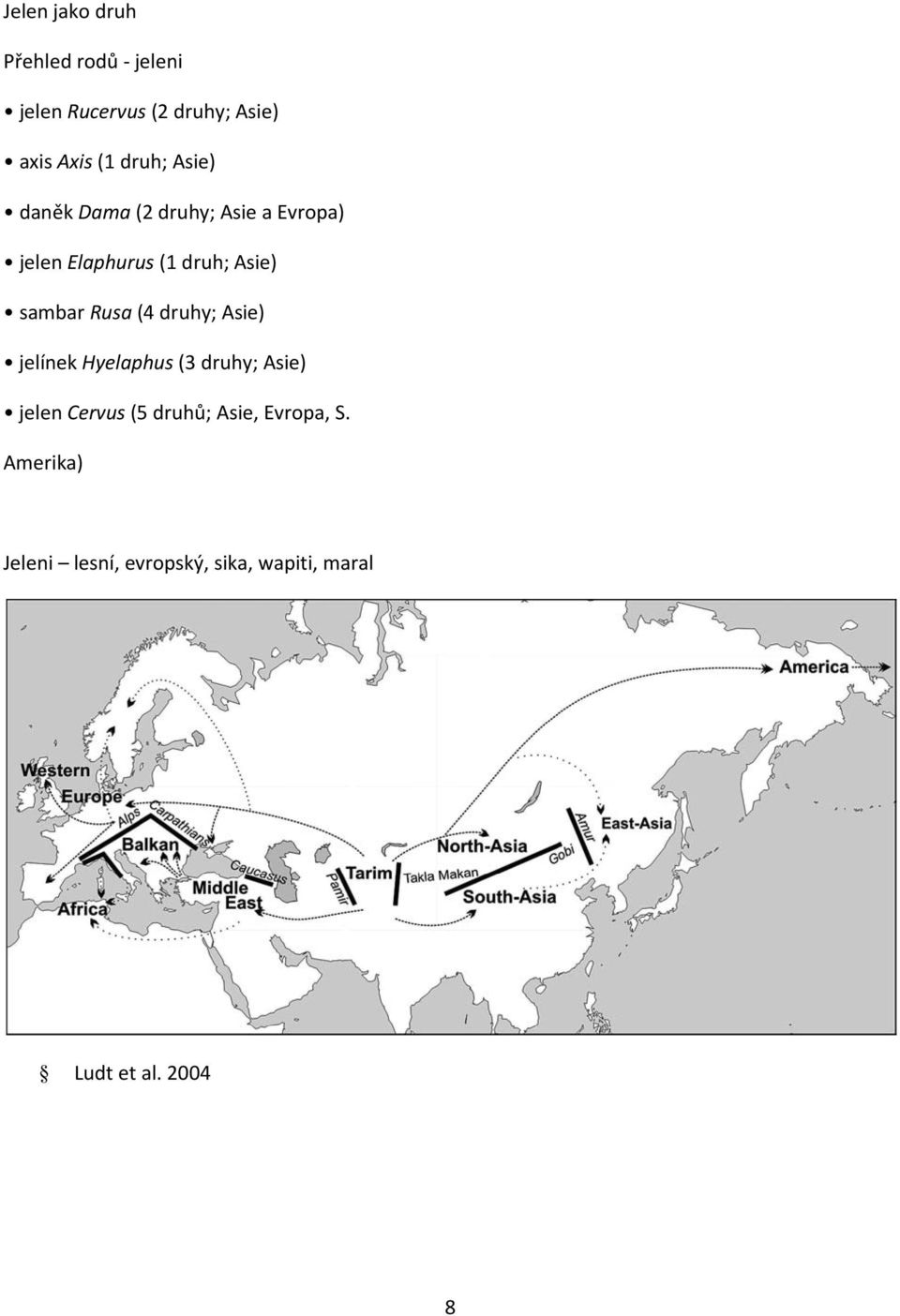 sambar Rusa (4 druhy; Asie) jelínek Hyelaphus (3 druhy; Asie) jelen Cervus (5