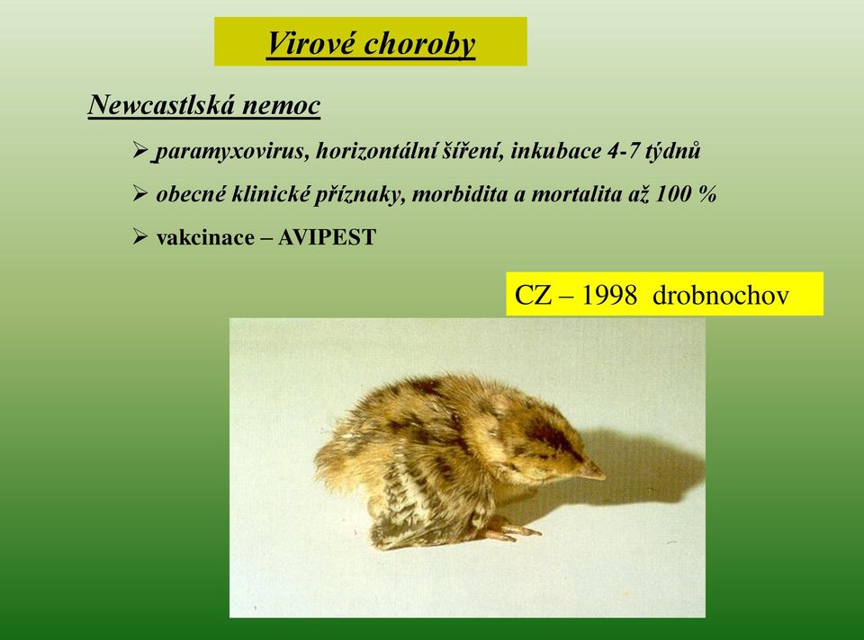 4-7 týdnů obecné klinické příznaky, morbidita