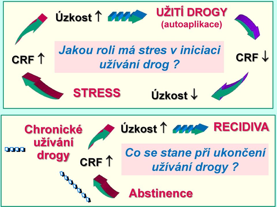 CRF STRESS Úzkost Chronické užívání drogy CRF