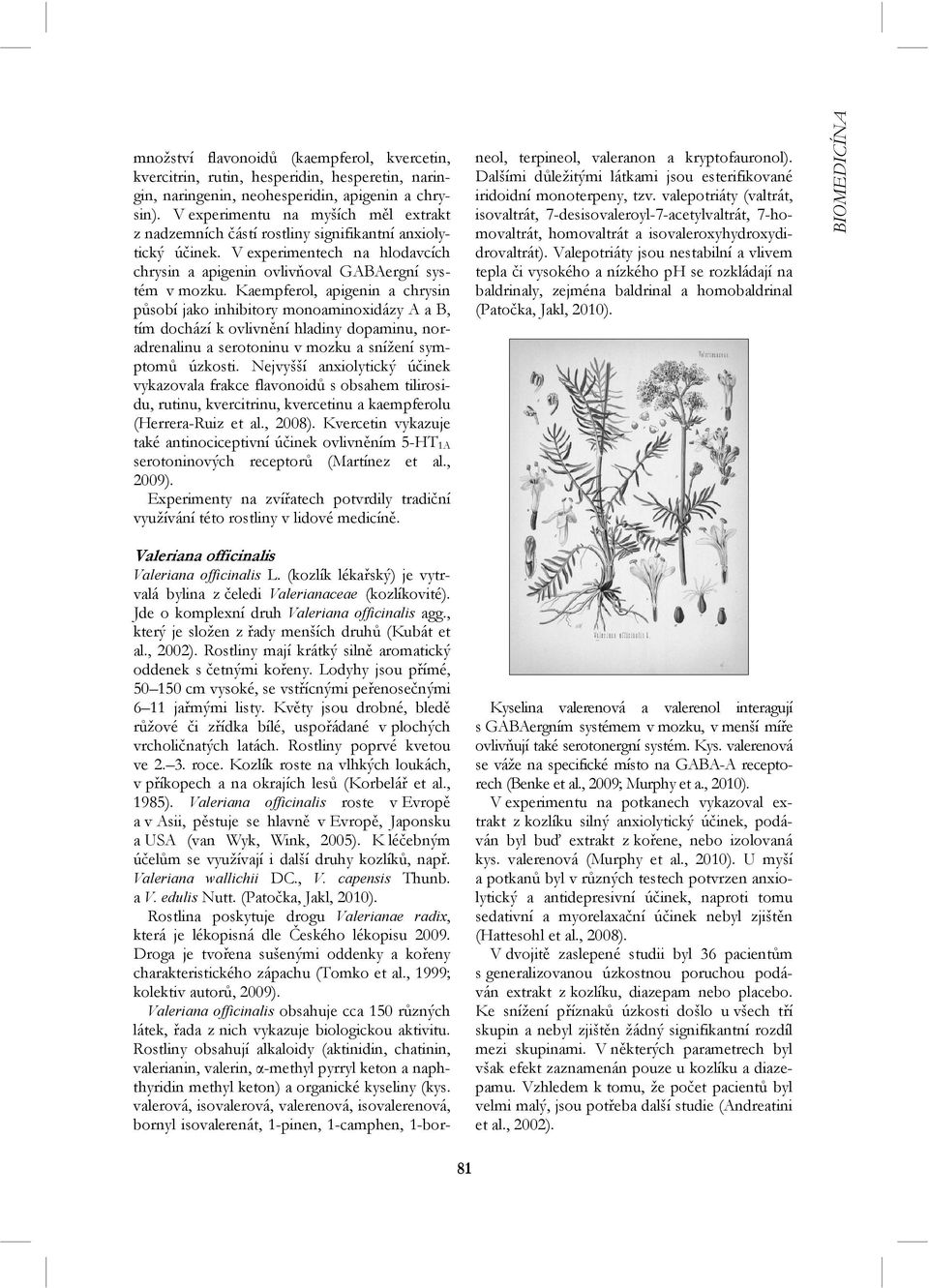 Kaempferol, apigenin a chrysin působí jako inhibitory monoaminoxidázy A a B, tím dochází k ovlivnění hladiny dopaminu, noradrenalinu a serotoninu v mozku a snížení symptomů úzkosti.