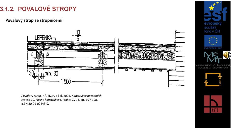 Povalový strop. HÁJEK, P. a kol. 2004.