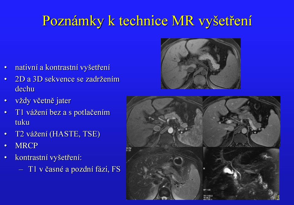 jater T1 vážení bez a s potlačením tuku T2 vážení (HASTE,