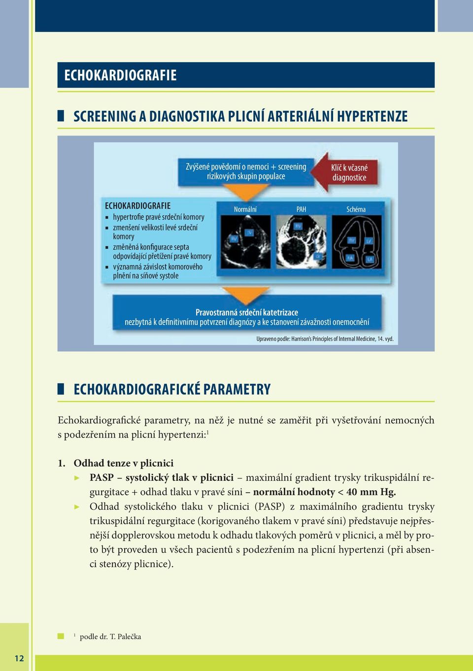 Pravostranná srdeční katetrizace nezbytná k definitivnímu potvrzení diagnózy a ke stanovení závažnosti onemocnění Upraveno podle: Harrison s Principles of Internal Medicine, 14. vyd.