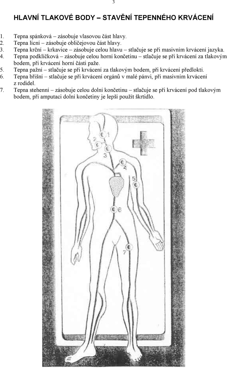 Tepna podklíčková zásobuje celou horní končetinu stlačuje se při krvácení za tlakovým bodem, při krvácení horní části paže. 5.