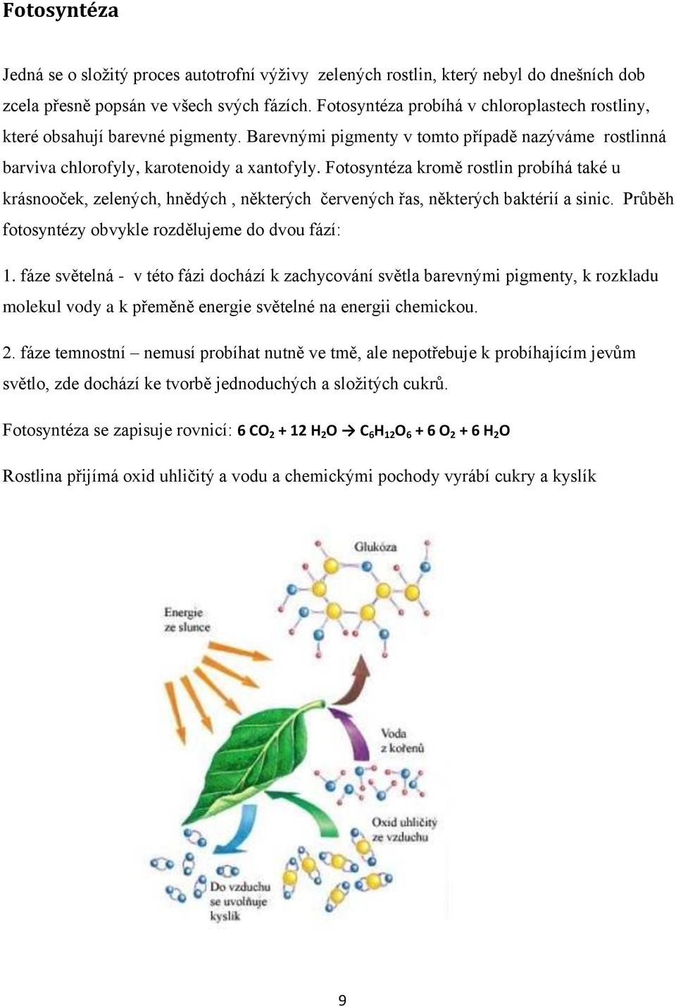 Fotosyntéza kromě rostlin probíhá také u krásnooček, zelených, hnědých, některých červených řas, některých baktérií a sinic. Průběh fotosyntézy obvykle rozdělujeme do dvou fází: 1.