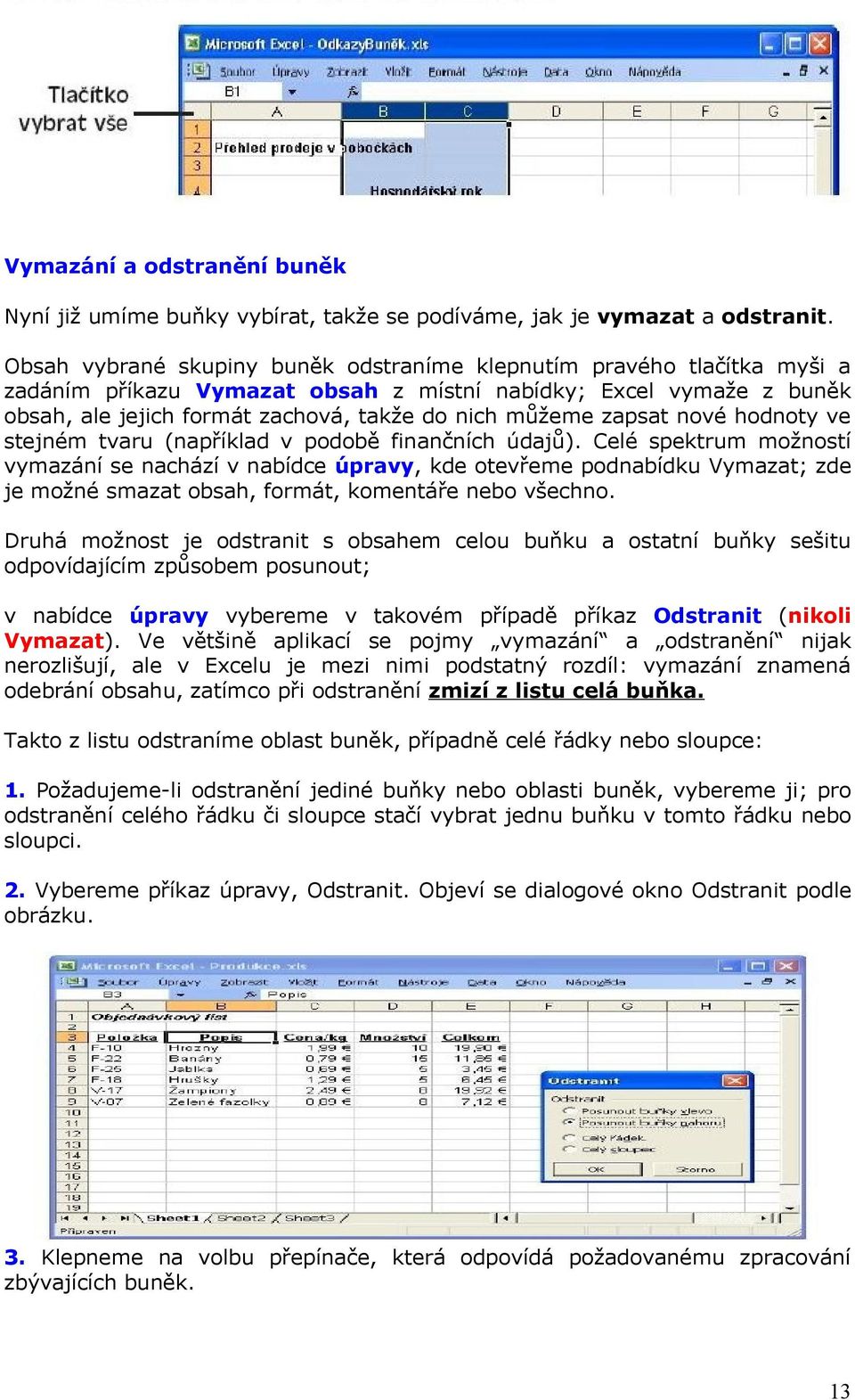 zapsat nové hodnoty ve stejném tvaru (například v podobě finančních údajů).