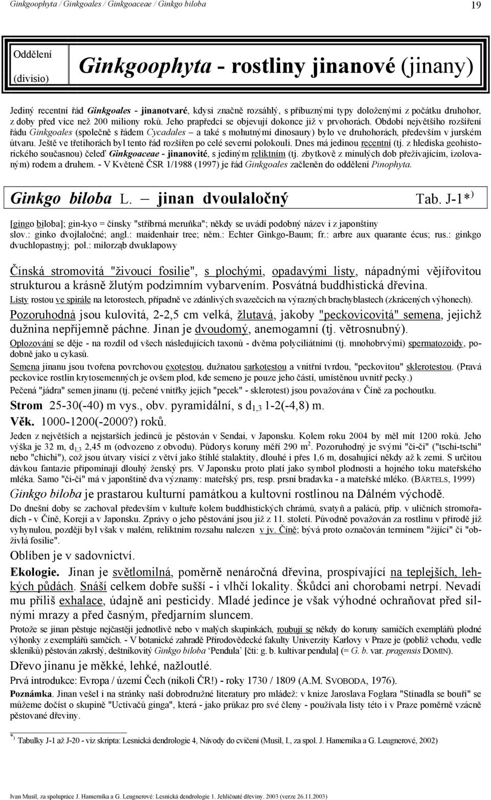 Období největšího rozšíření řádu Ginkgoales (společně s řádem Cycadales a také s mohutnými dinosaury) bylo ve druhohorách, především v jurském útvaru.