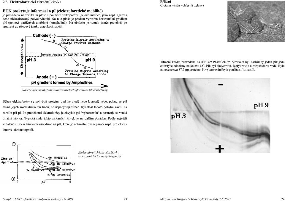 Na obrázku je vzorek (směs proteinů) po vpravení do středové jamky a aplikaci napětí. Příklad Crotalus viridis (chřestýš zelený) Titrační křivka provedená na IEF 3-9 PhastGelu.