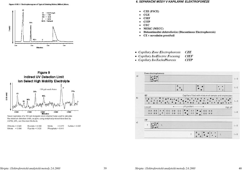 Zone Electrophoresis Capillary IsoElectric Focusing Capillary IsoTachoPhoresis CZE CIEF CITP