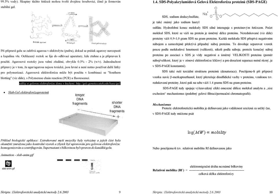 Neredukované (viz dále) proteiny váží 0,9-1,0 gram SDS na gram proteinu. Každá molekula SDS přispívá negativním nábojem a samozřejmě překrývá případný náboj proteinu.