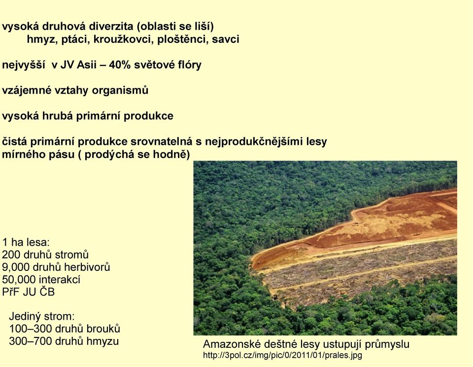 mírného pásu ( prodýchá se hodně) 1 ha lesa: 200 druhů stromů 9,000 druhů herbivorů 50,000 interakcí PřF JU ČB Jediný