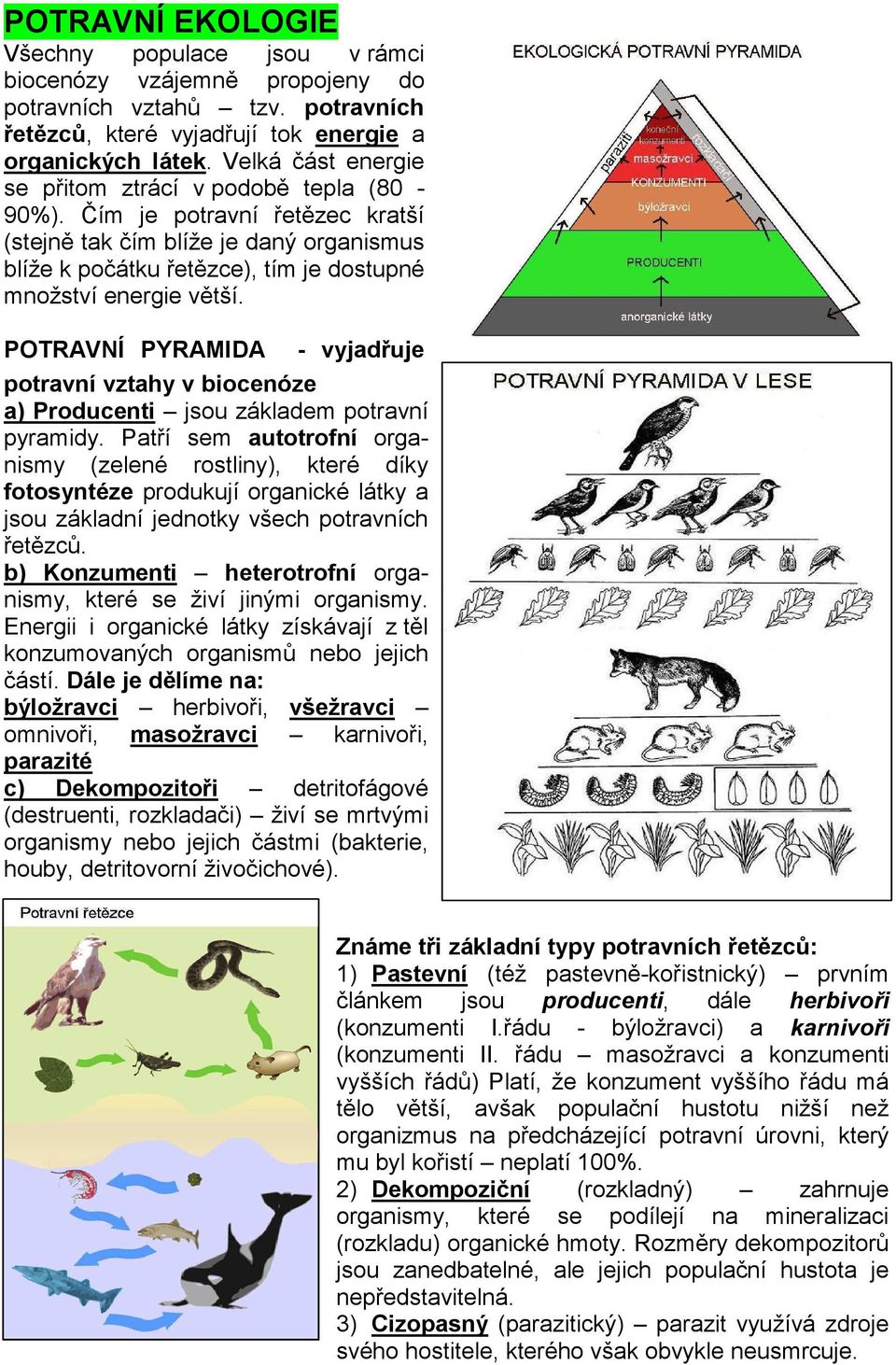 POTRAVNÍ PYRAMIDA - vyjadřuje potravní vztahy v biocenóze a) Producenti jsou základem potravní pyramidy.