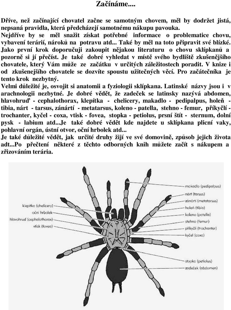 Jako první krok doporučuji zakoupit nějakou literaturu o chovu sklípkanů a pozorně si jí přečíst.