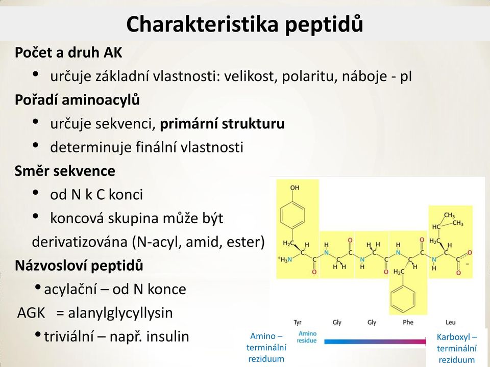 k konci koncová skupina může být derivatizována (N-acyl, amid, ester) Názvosloví peptidů acylační od N