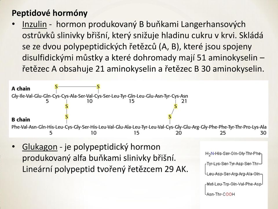 Skládá se ze dvou polypeptidických řetězců (A, B), které jsou spojeny disulfidickými můstky a které dohromady