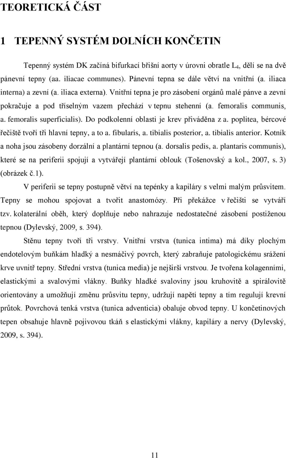 Vnitřní tepna je pro zásobení orgánů malé pánve a zevní pokračuje a pod tříselným vazem přechází v tepnu stehenní (a. femoralis communis, a. femoralis superficialis).