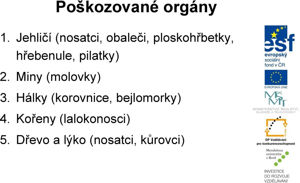 hřebenule, pilatky) 2. Miny (molovky) 3.