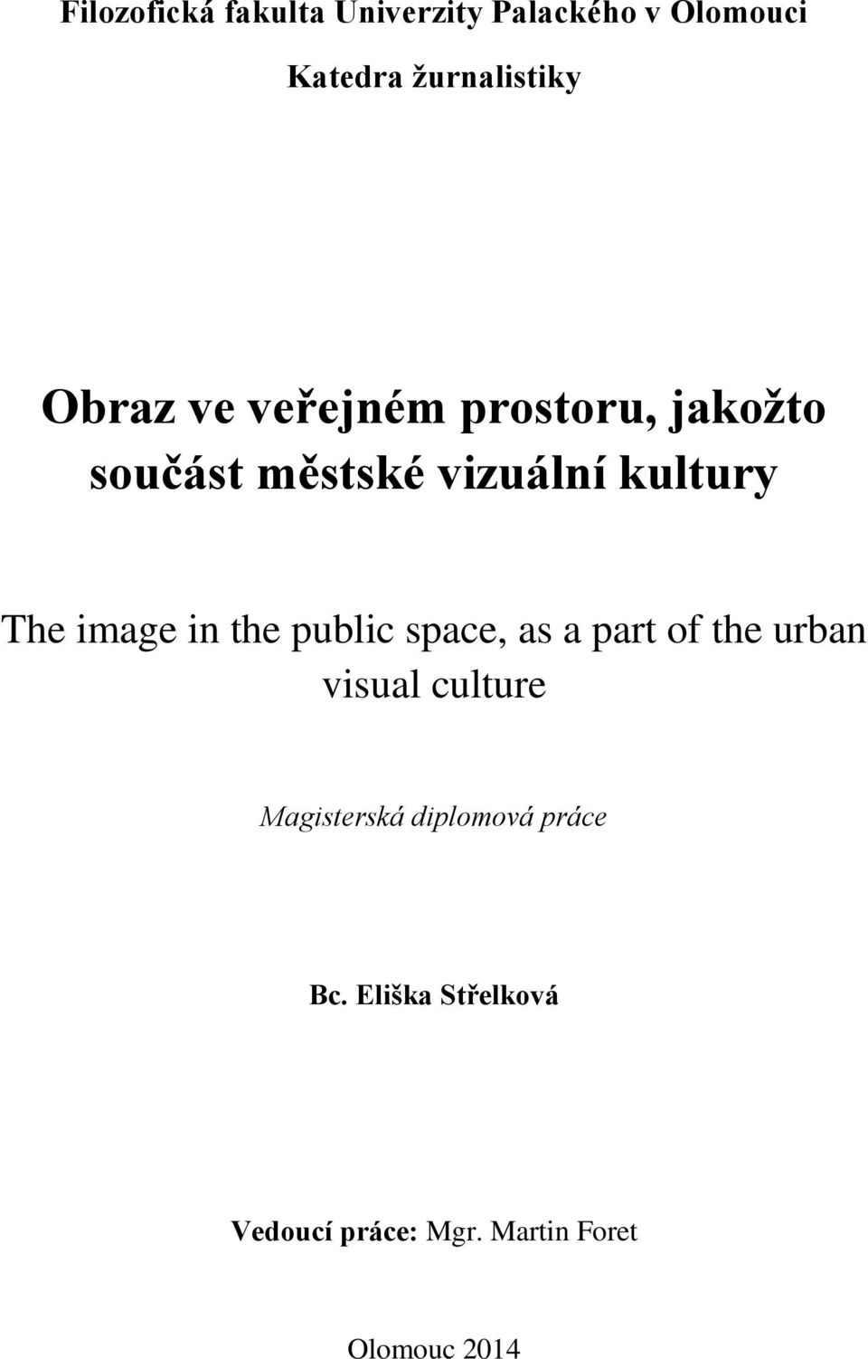 image in the public space, as a part of the urban visual culture Magisterská