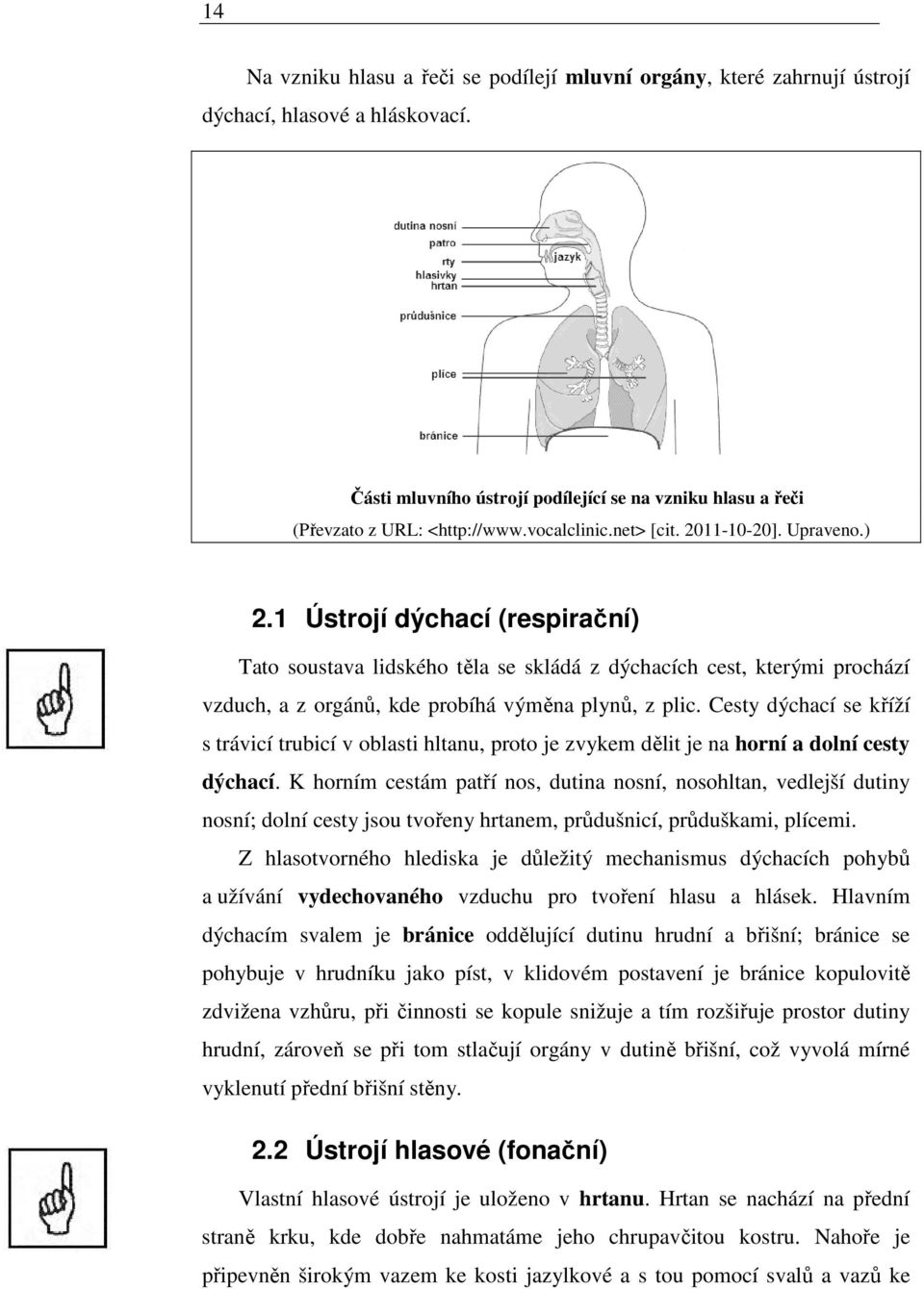 1 Ústrojí dýchací (respirační) Tato soustava lidského těla se skládá z dýchacích cest, kterými prochází vzduch, a z orgánů, kde probíhá výměna plynů, z plic.