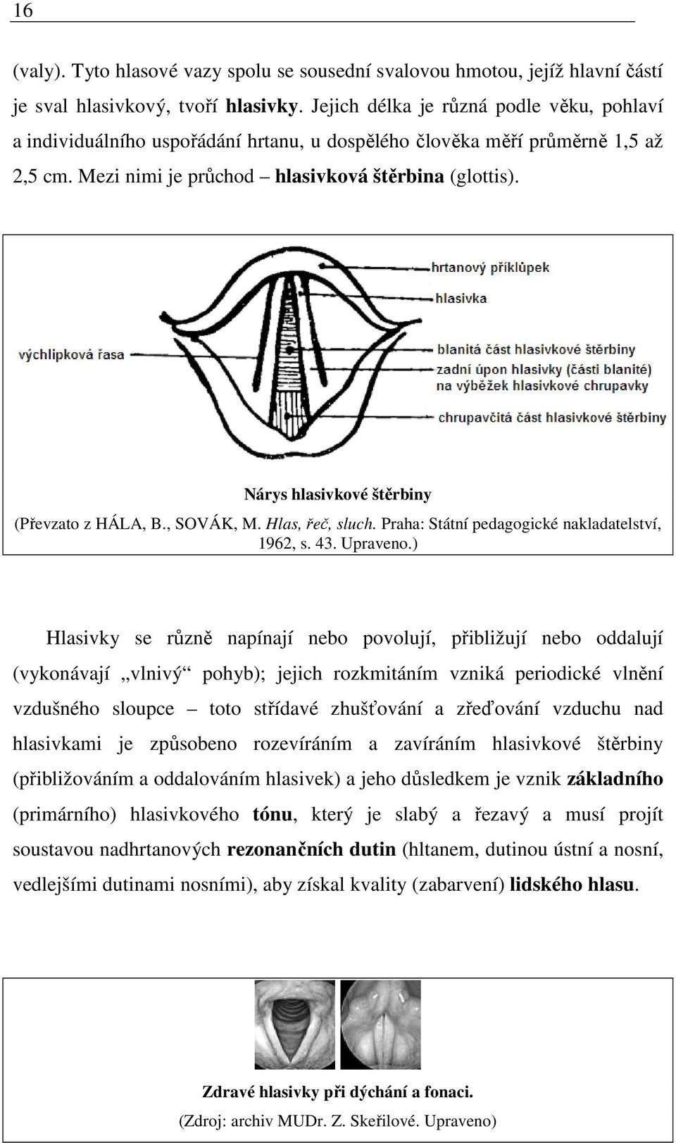 Nárys hlasivkové štěrbiny (Převzato z HÁLA, B., SOVÁK, M. Hlas, řeč, sluch. Praha: Státní pedagogické nakladatelství, 1962, s. 43. Upraveno.