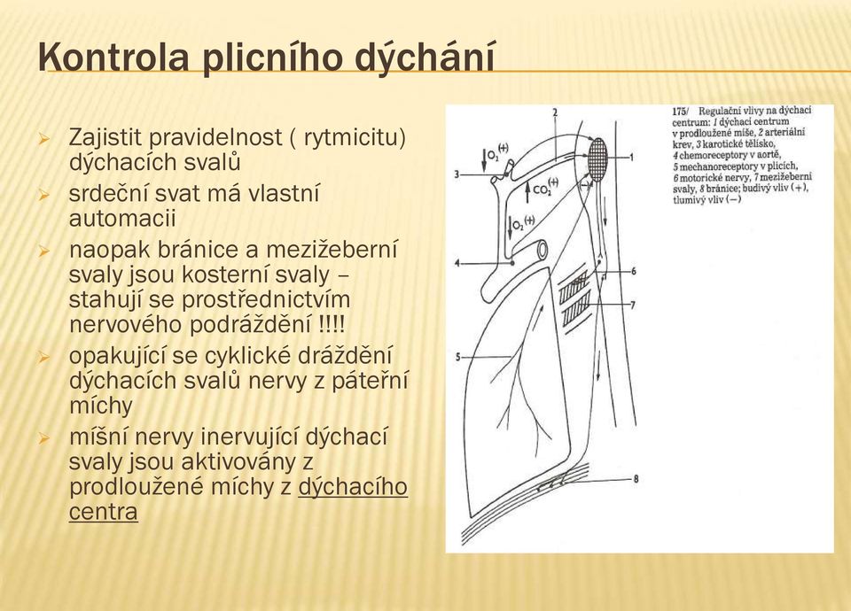 prostřednictvím nervového podráždění!