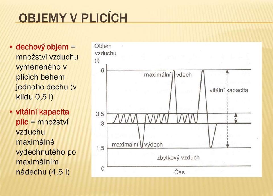 0,5 l) vitální kapacita plic = množství vzduchu