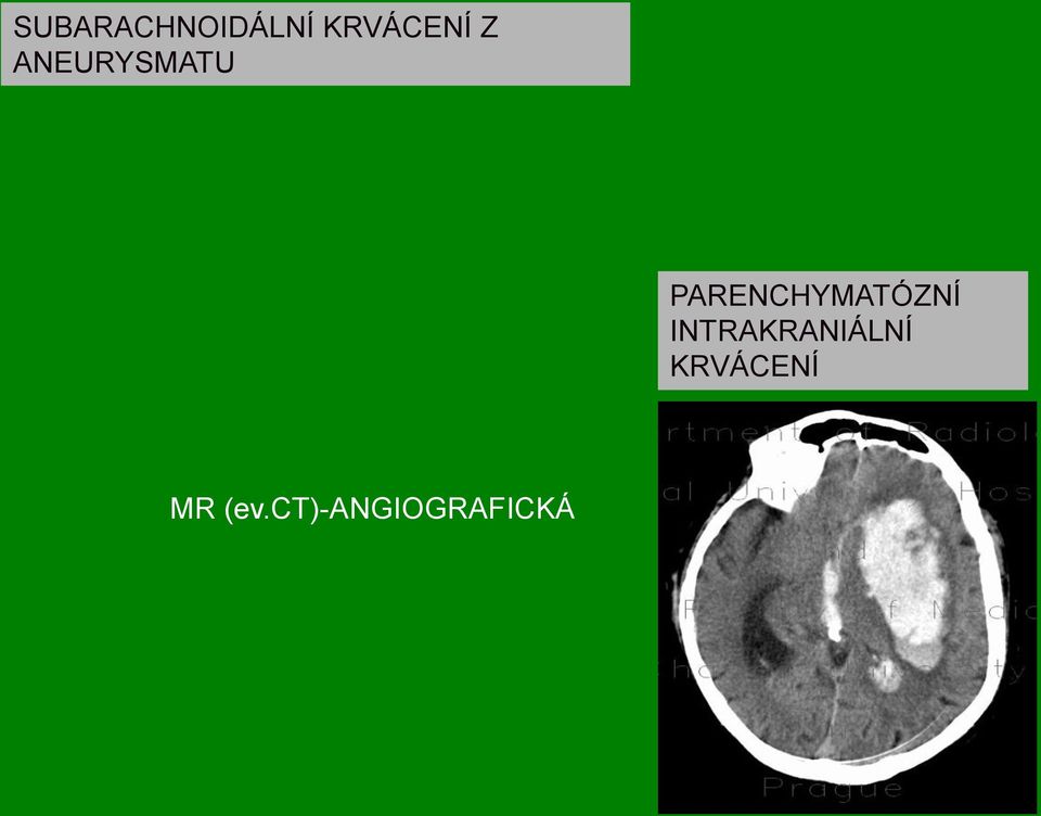 PARENCHYMATÓZNÍ