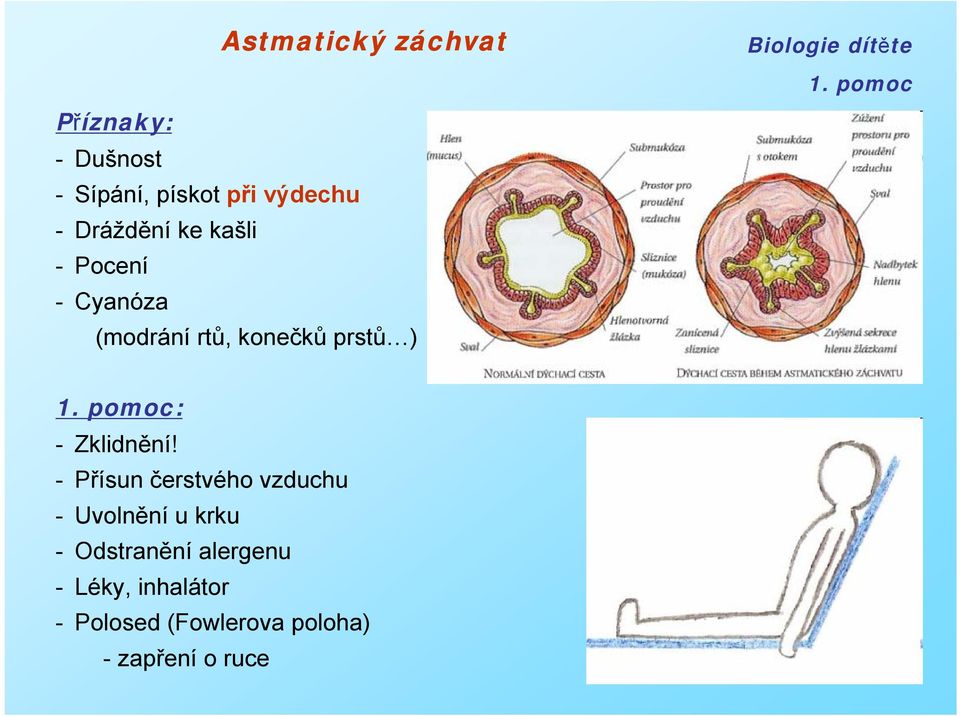 - Zklidnění!