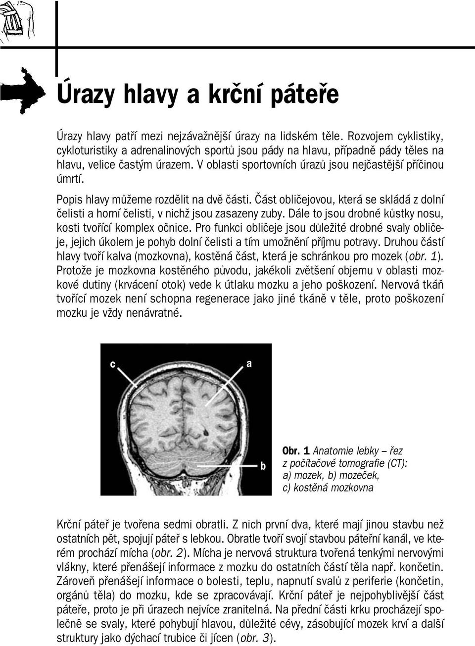 Popis hlavy můžeme rozdělit na dvě části. Část obličejovou, která se skládá z dolní čelisti a horní čelisti, v nichž jsou zasazeny zuby. Dále to jsou drobné kůstky nosu, kosti tvořící komplex očnice.