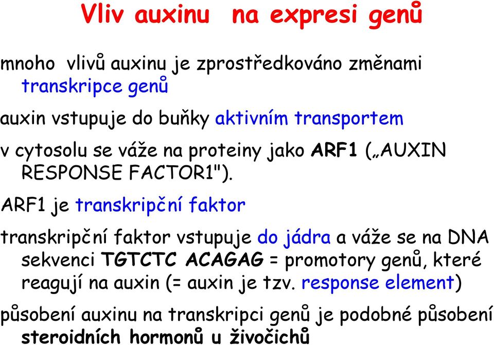 ARF1 je transkripční faktor transkripční faktor vstupuje do jádra a váže se na DNA sekvenci TGTCTC ACAGAG = promotory