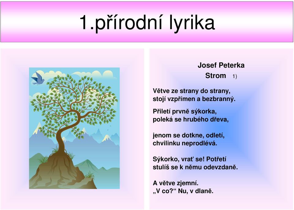 Přiletí prvně sýkorka, poleká se hrubého dřeva, jenom se dotkne,