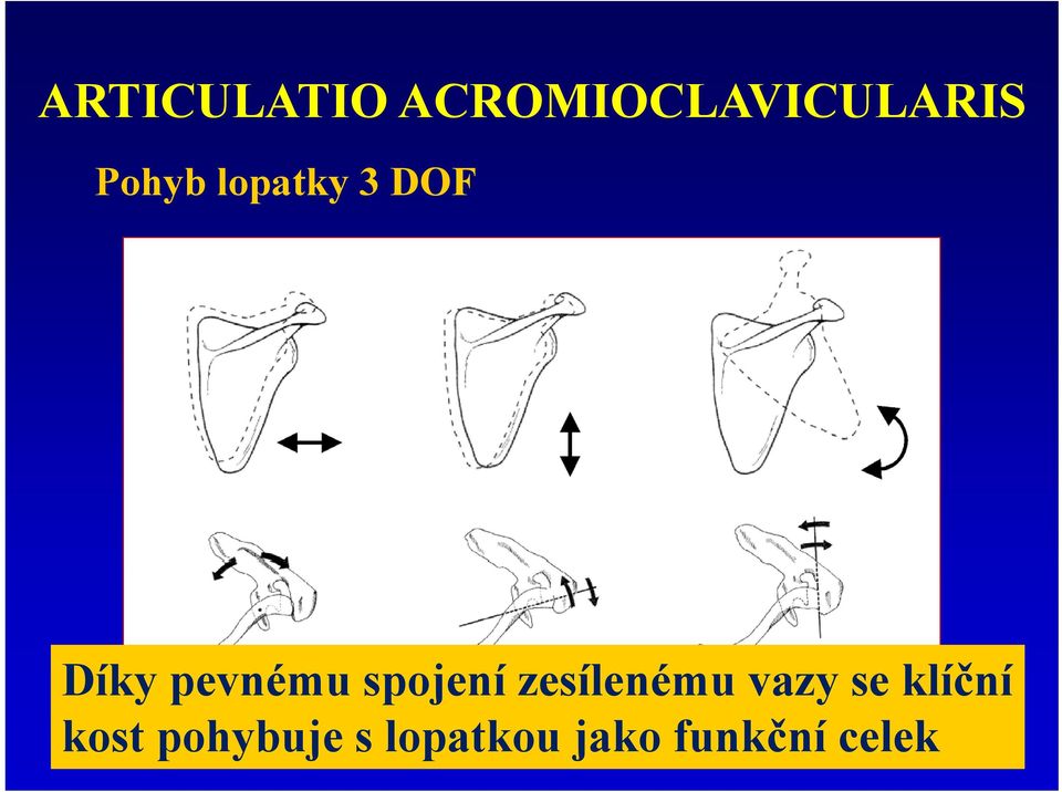 spojení zesílenému vazy se klíční