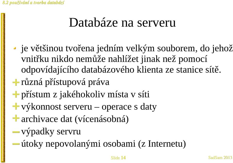 různá přístupová práva přístum z jakéhokoliv místa v síti výkonnost serveru operace s