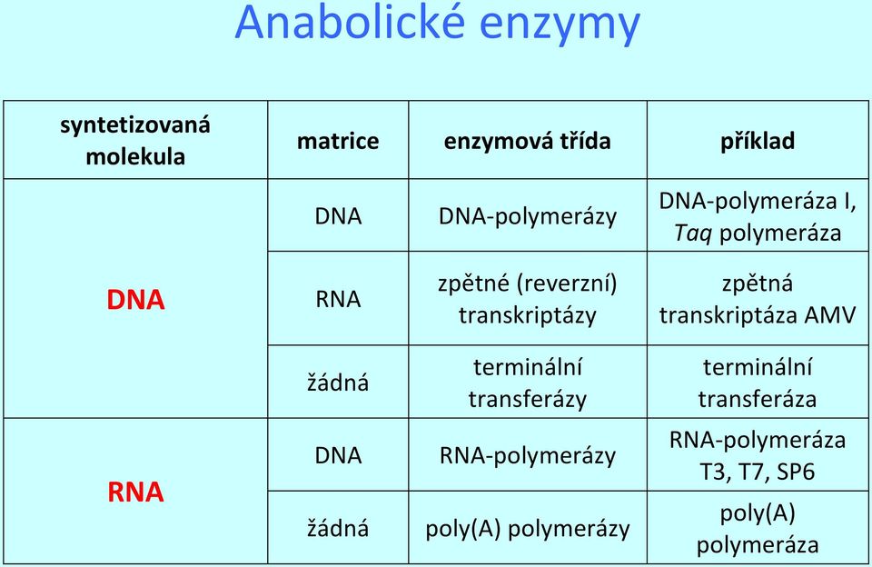 zpětná transkriptáza AMV žádná terminální transferázy terminální transferáza DNA