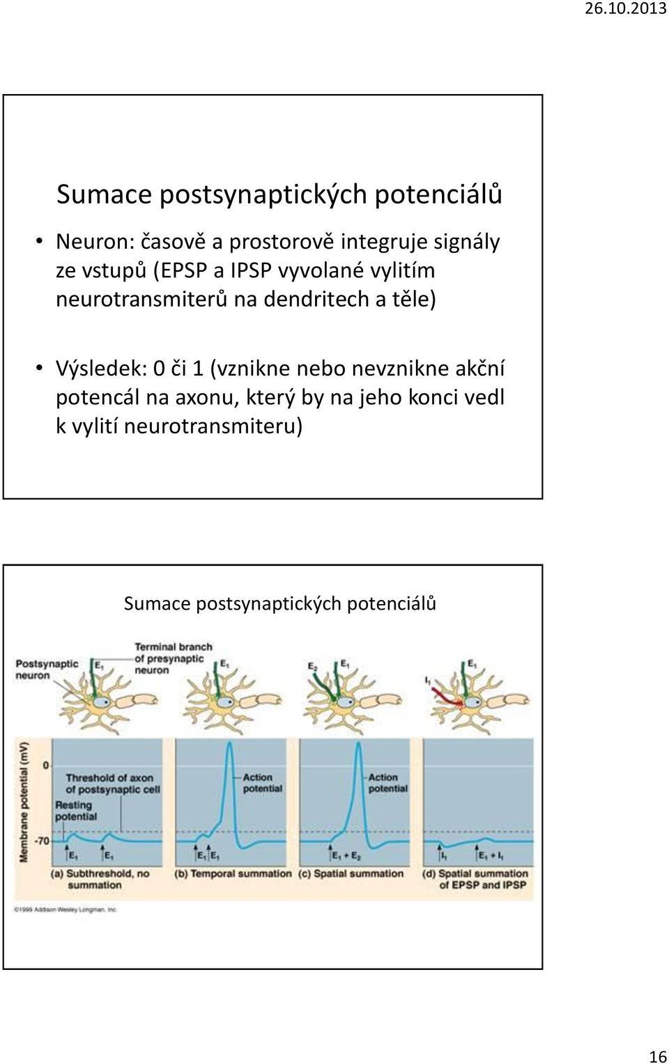 a těle) Výsledek: 0 či 1 (vznikne nebo nevznikne akční potencál na axonu, který