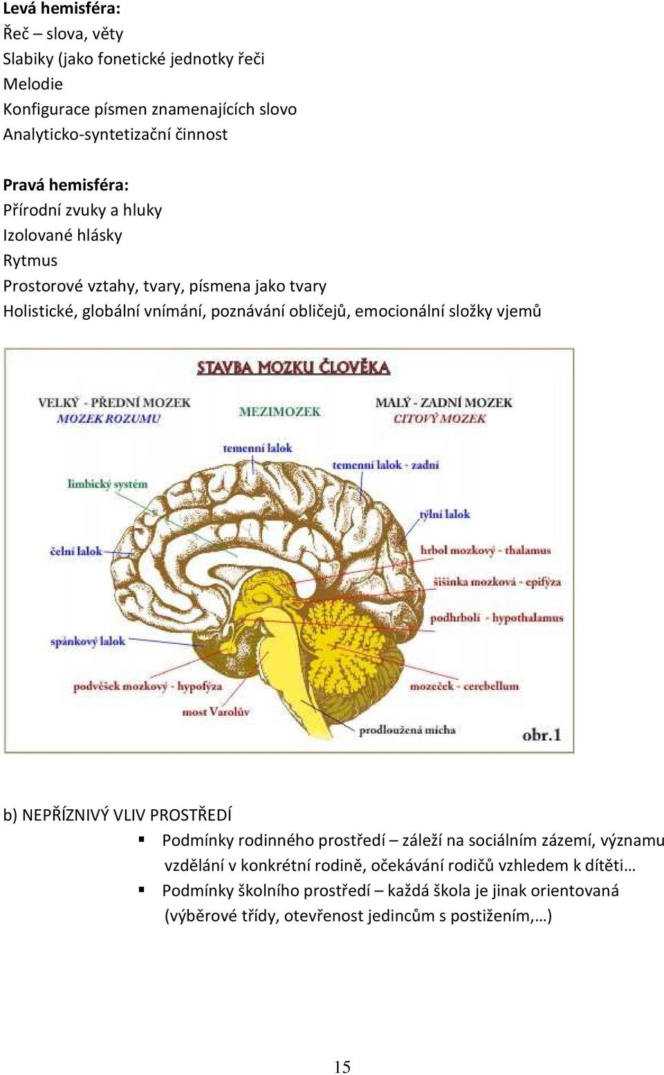 obličejů, emocionální složky vjemů b) NEPŘÍZNIVÝ VLIV PROSTŘEDÍ Podmínky rodinného prostředí záleží na sociálním zázemí, významu vzdělání v konkrétní