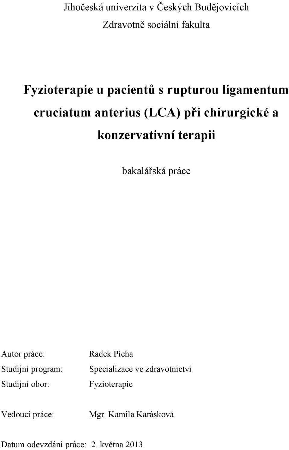 terapii bakalářská práce Autor práce: Studijní program: Studijní obor: Radek Pícha