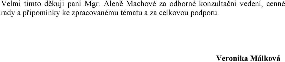 vedení, cenné rady a připomínky ke