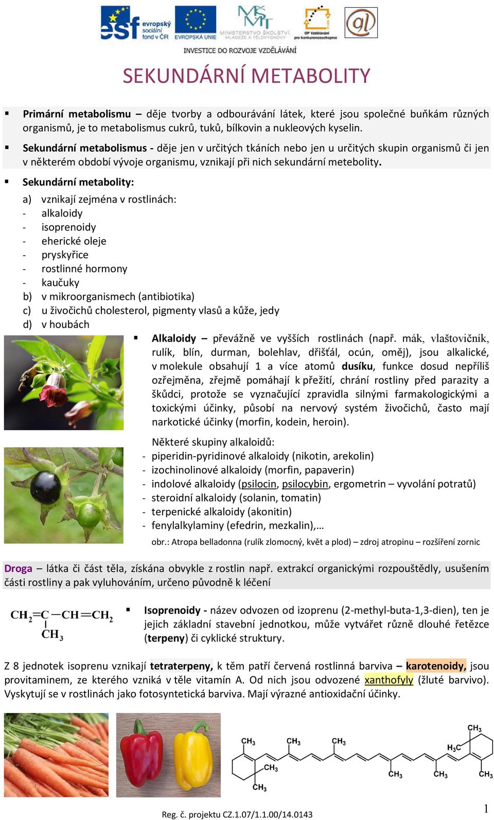 Sekundární metabolity: a) vznikají zejména v rostlinách: - alkaloidy - isoprenoidy - eherické oleje - pryskyřice - rostlinné hormony - kaučuky b) v mikroorganismech (antibiotika) c) u živočichů