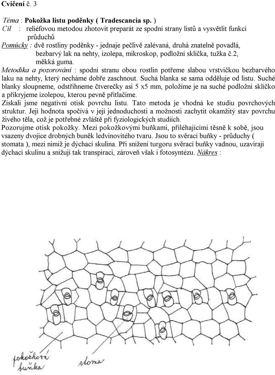 nehty, izolepa, mikroskop, podložní sklíčka, tužka č.2, měkká guma.