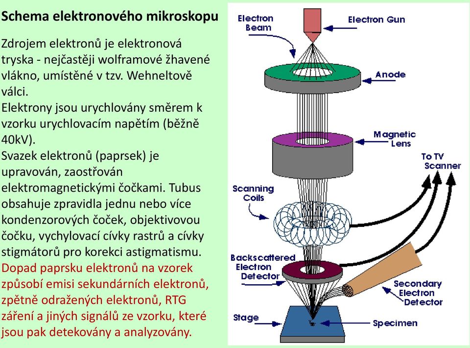 Tubus obsahuje zpravidla jednu nebo více kondenzorových čoček, objektivovou čočku, vychylovací cívky rastrů a cívky stigmátorů pro korekci astigmatismu.