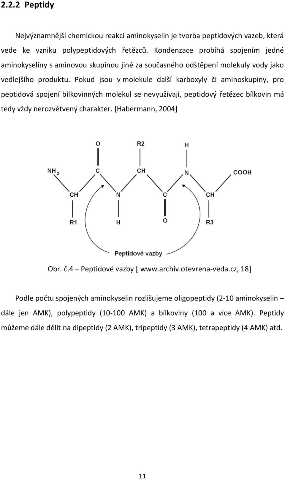 Pokud jsou v molekule další karboxyly či aminoskupiny, pro peptidová spojení bílkovinných molekul se nevyužívají, peptidový řetězec bílkovin má tedy vždy nerozvětvený charakter.