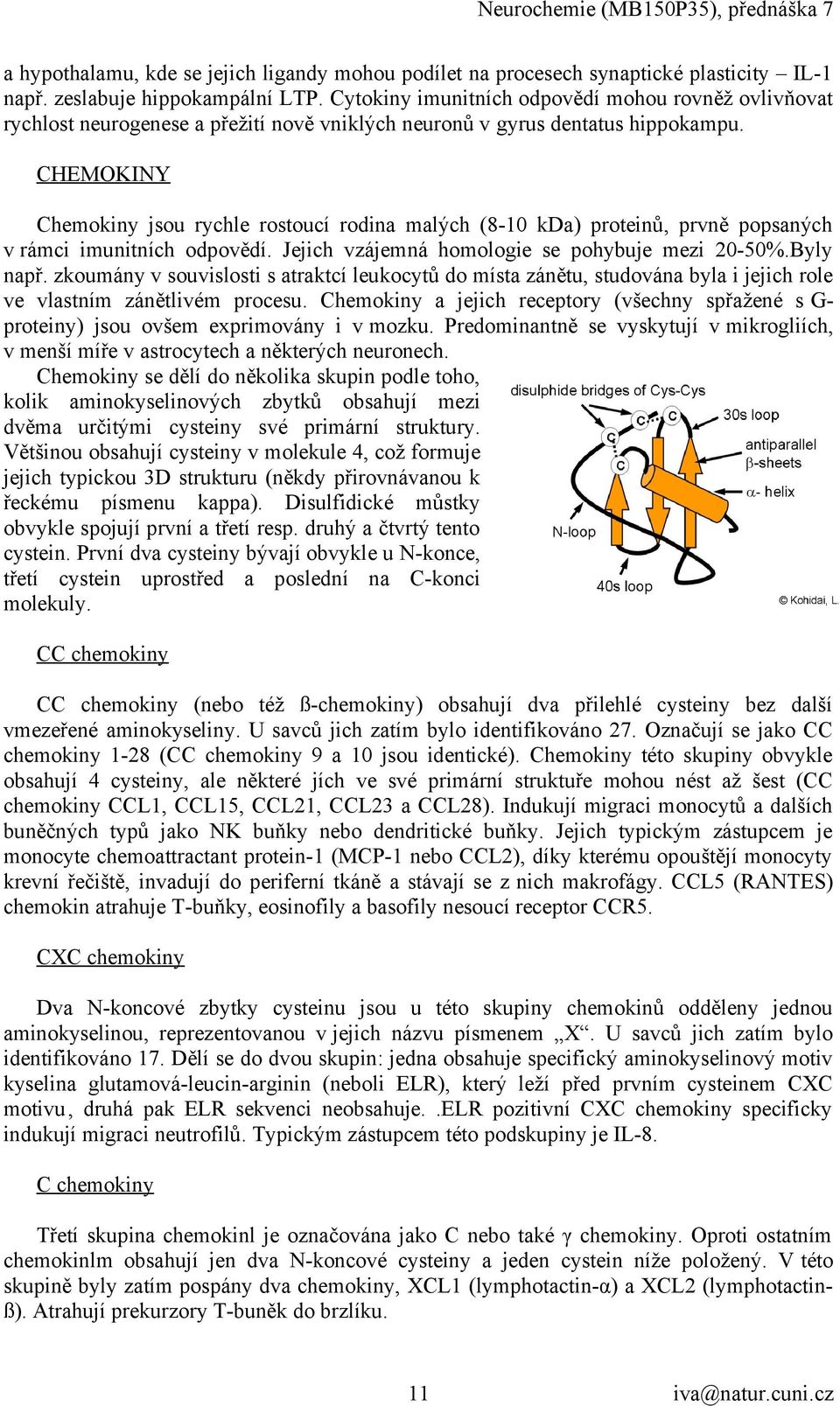 CHEMOKINY Chemokiny jsou rychle rostoucí rodina malých (8-10 kda) proteinů, prvně popsaných v rámci imunitních odpovědí. Jejich vzájemná homologie se pohybuje mezi 20-50%.Byly např.