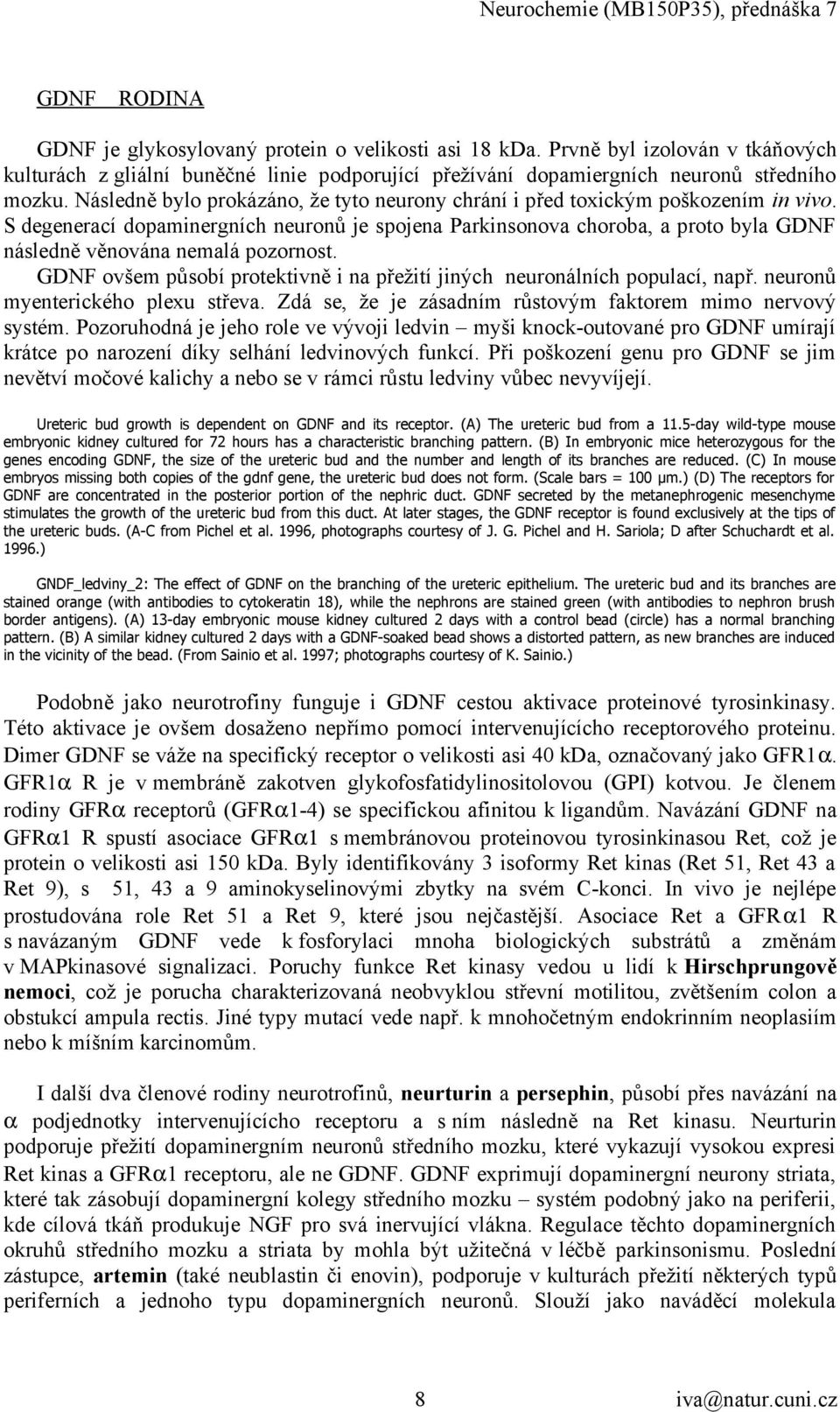 S degenerací dopaminergních neuronů je spojena Parkinsonova choroba, a proto byla GDNF následně věnována nemalá pozornost.