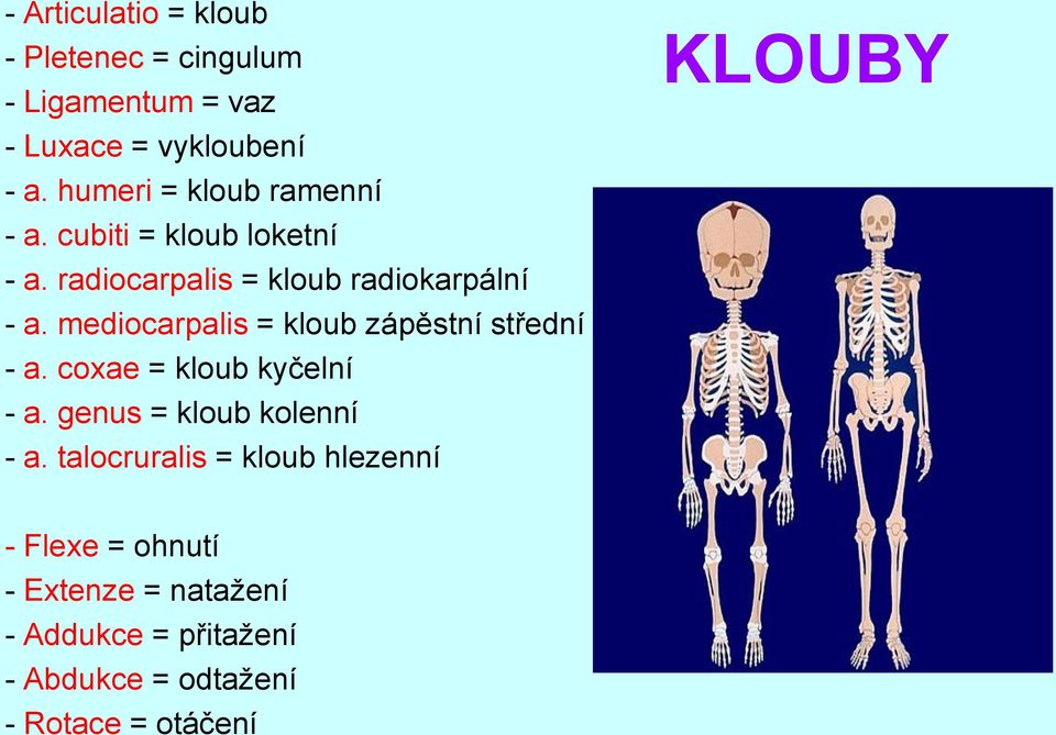 mediocarpalis = kloub zápěstní střední - a. coxae = kloub kyčelní - a. genus = kloub kolenní - a.