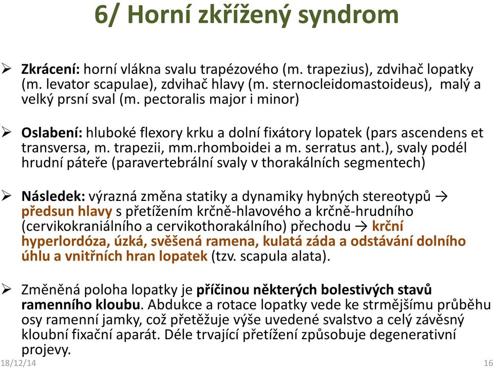 ), svaly podél hrudní páteře (paravertebrální svaly v thorakálních segmentech) Následek: výrazná změna statiky a dynamiky hybných stereotypů předsun hlavy s přetížením krčně-hlavového a