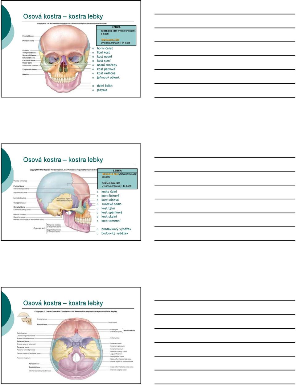 lebky LEBKA Mozková část (Neurocranium): 8 kostí Obličejová část (Viscerocranium): 14 kostí koste čelní kost čichová kost klínov